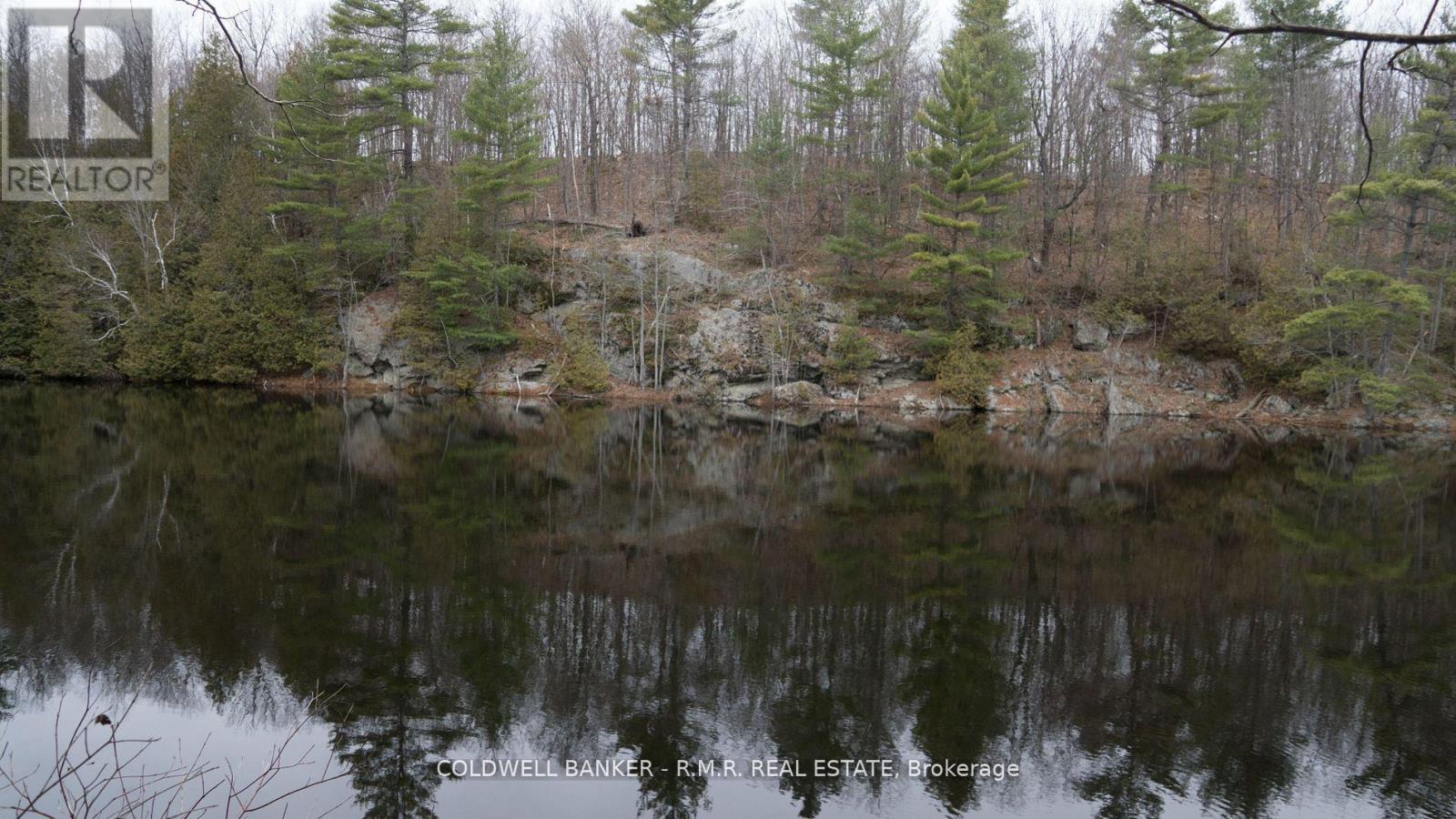 8860 County Rd 41, Addington Highlands (Addington Highlands), Ontario  K0H 1Z0 - Photo 6 - X12838508