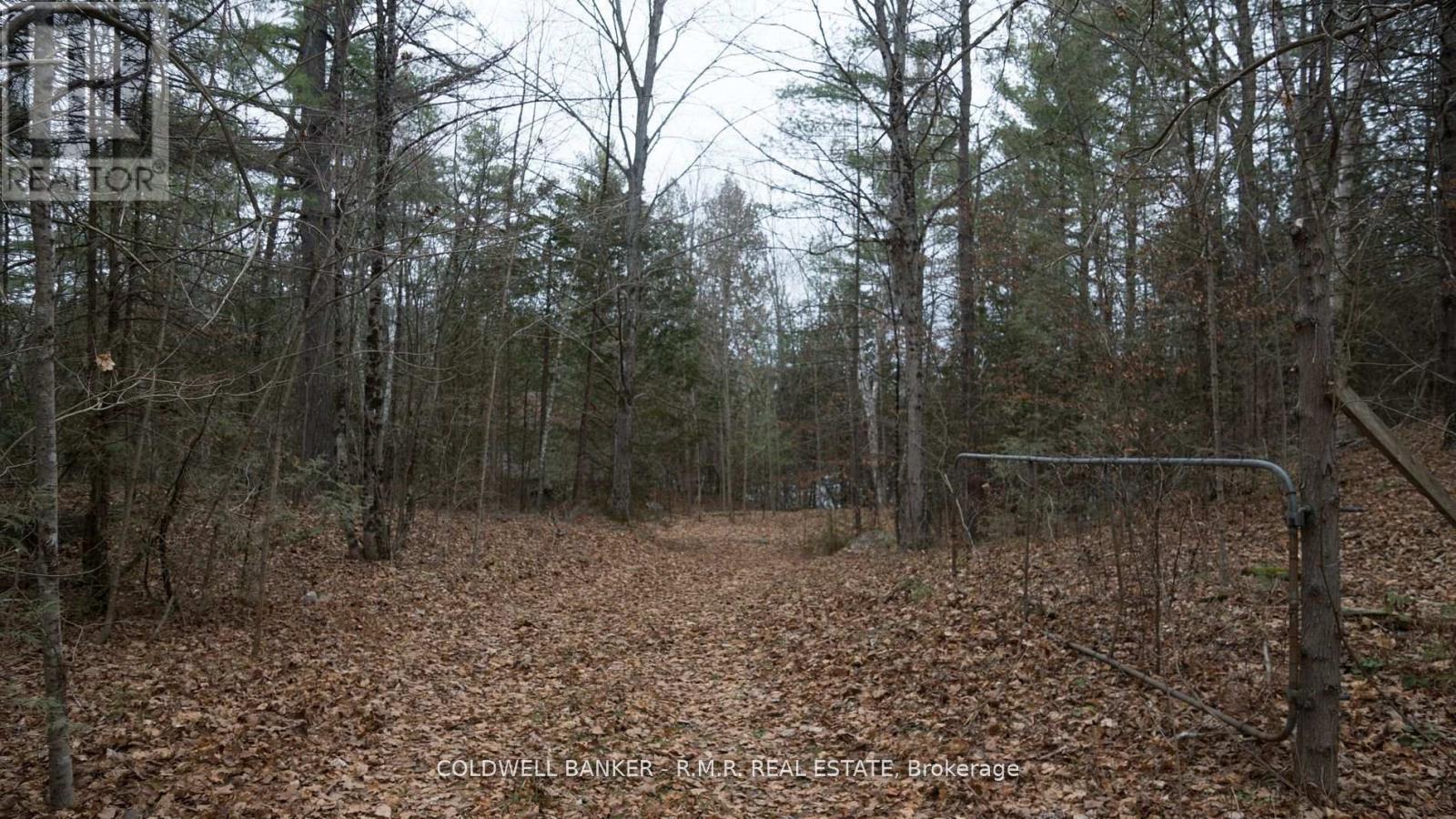 8860 County Rd 41, Addington Highlands (Addington Highlands), Ontario  K0H 2A0 - Photo 10 - X12838570