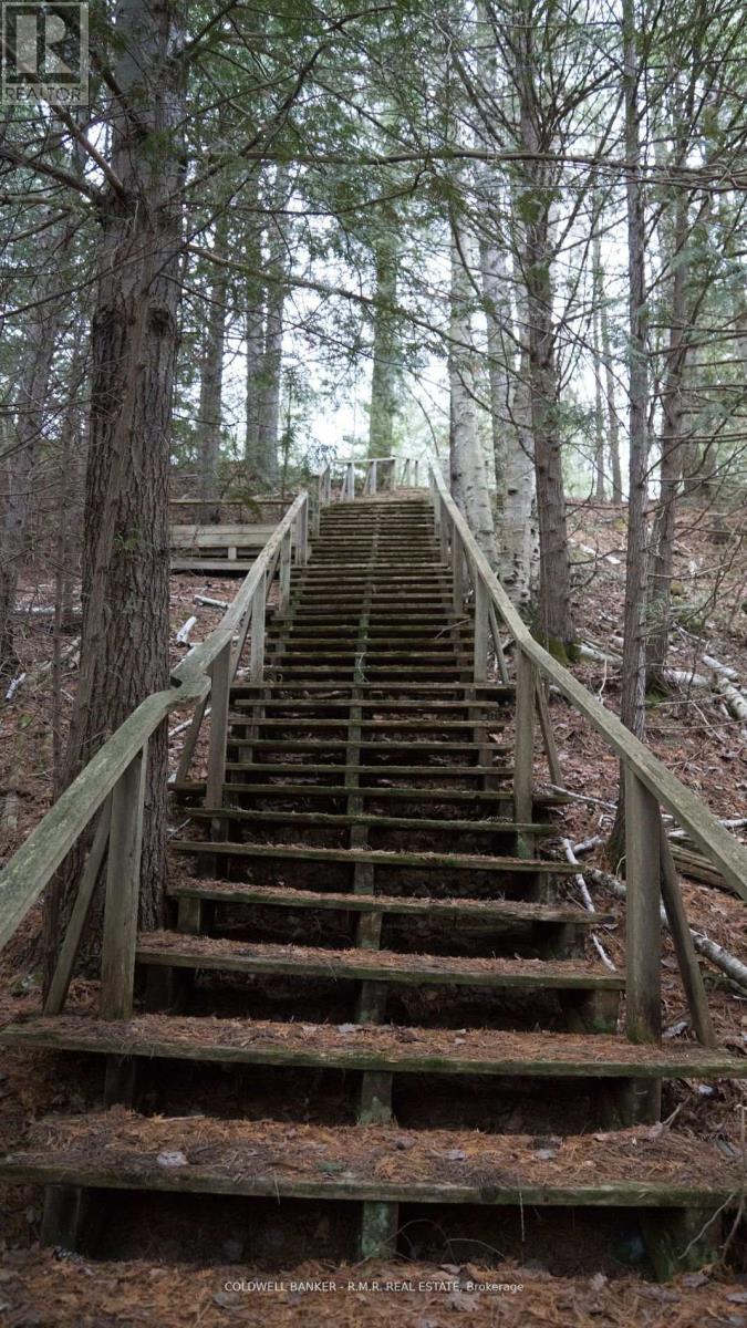 8860 County Rd 41, Addington Highlands (Addington Highlands), Ontario  K0H 2A0 - Photo 20 - X12838570