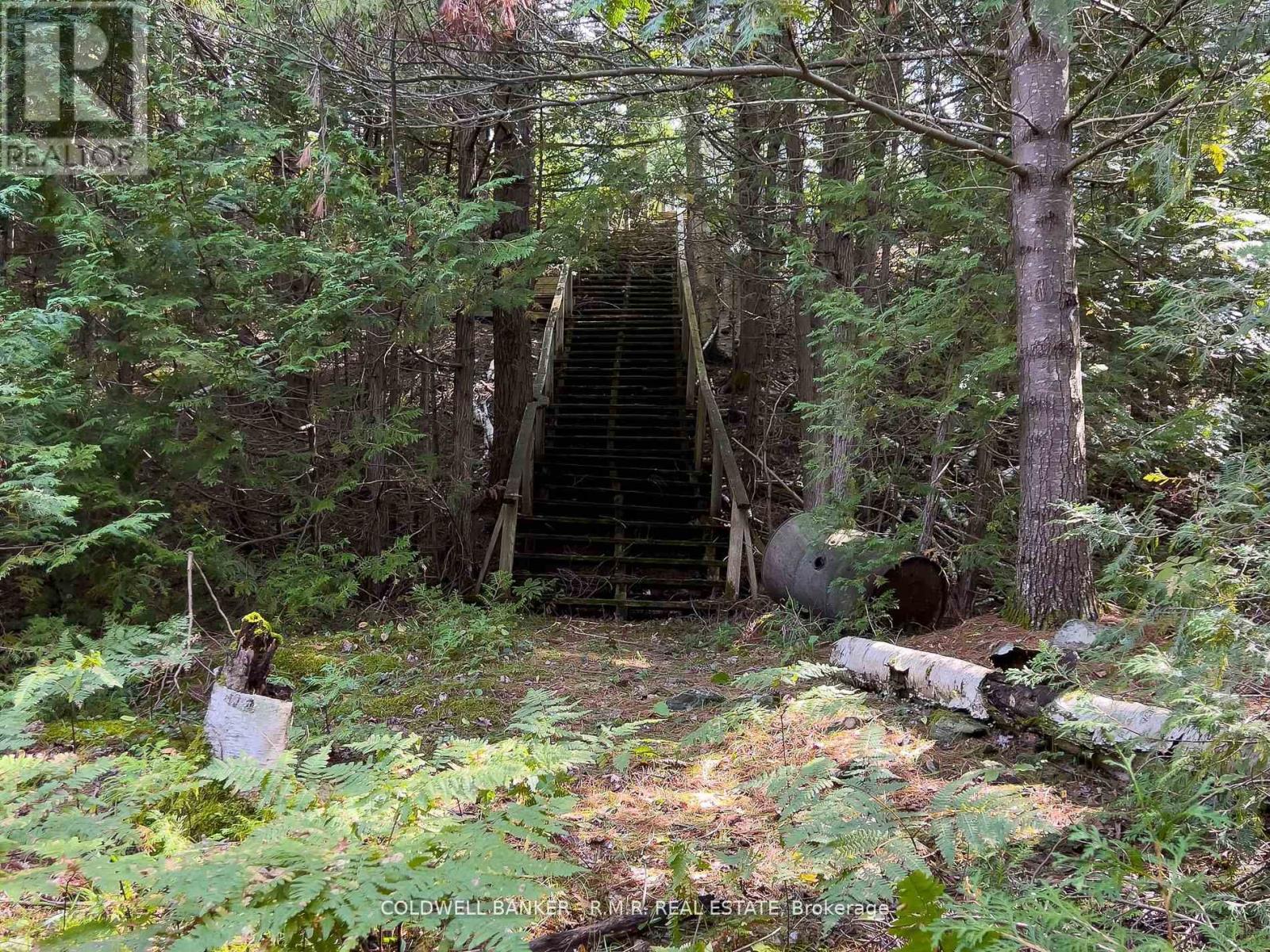 8860 County Rd 41, Addington Highlands (Addington Highlands), Ontario  K0H 2A0 - Photo 37 - X12838570