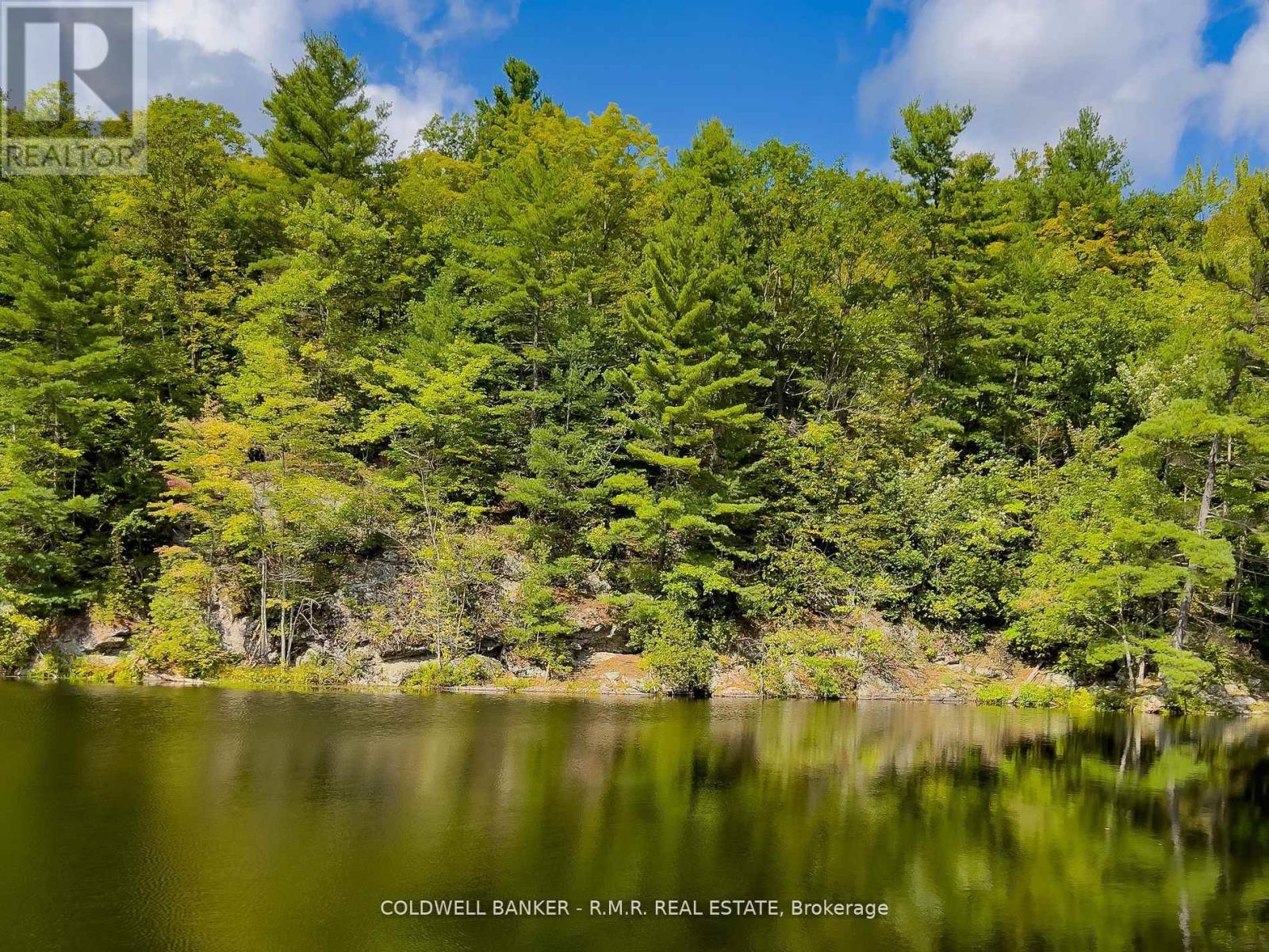 8860 County Rd 41, Addington Highlands (Addington Highlands), Ontario  K0H 2A0 - Photo 5 - X12838570