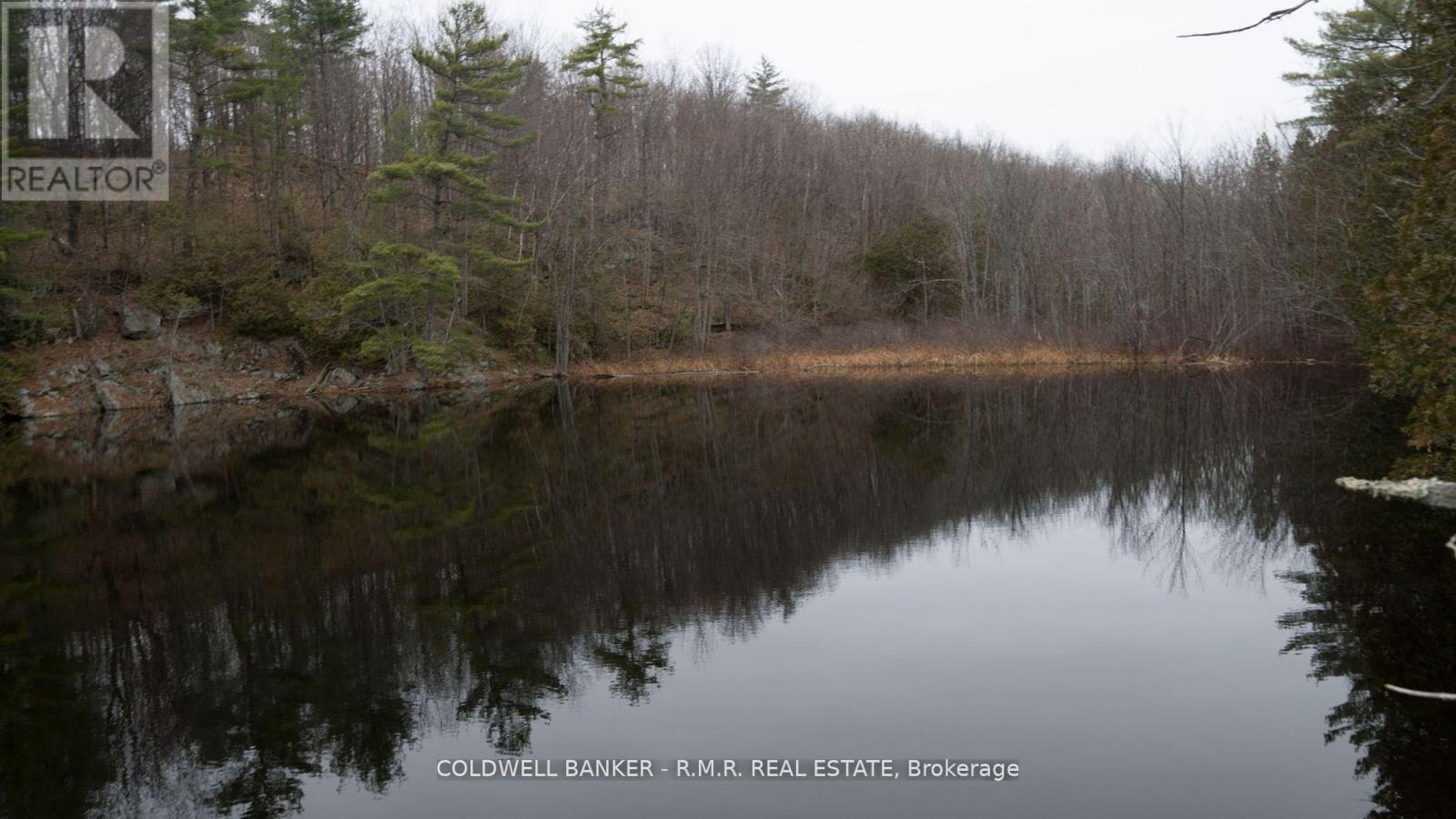 8860 County Rd 41, Addington Highlands (Addington Highlands), Ontario  K0H 2A0 - Photo 8 - X12838570