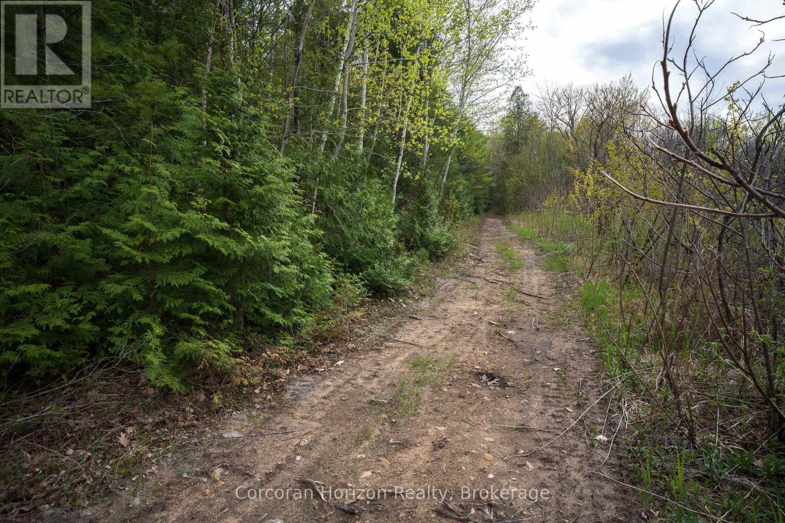 9316 Georgian Bay Shore Road, Georgian Bay, Ontario  P0E 1E0 - Photo 5 - X12838558