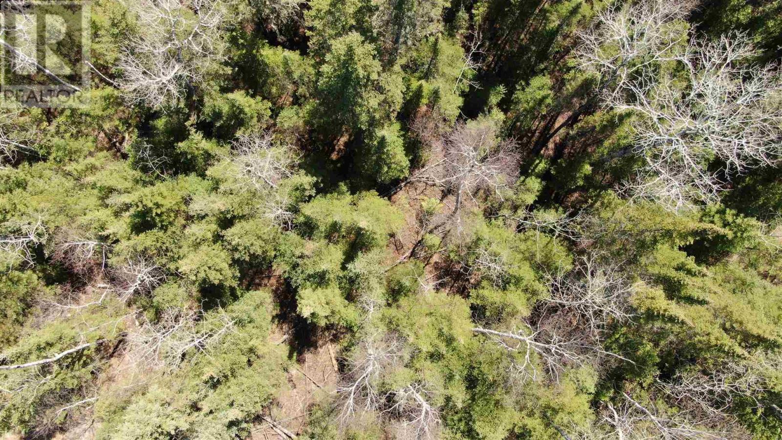 Lot 151 Plan M222, Minaki, Ontario P0X 1J0 - Photo 28 - TB250064