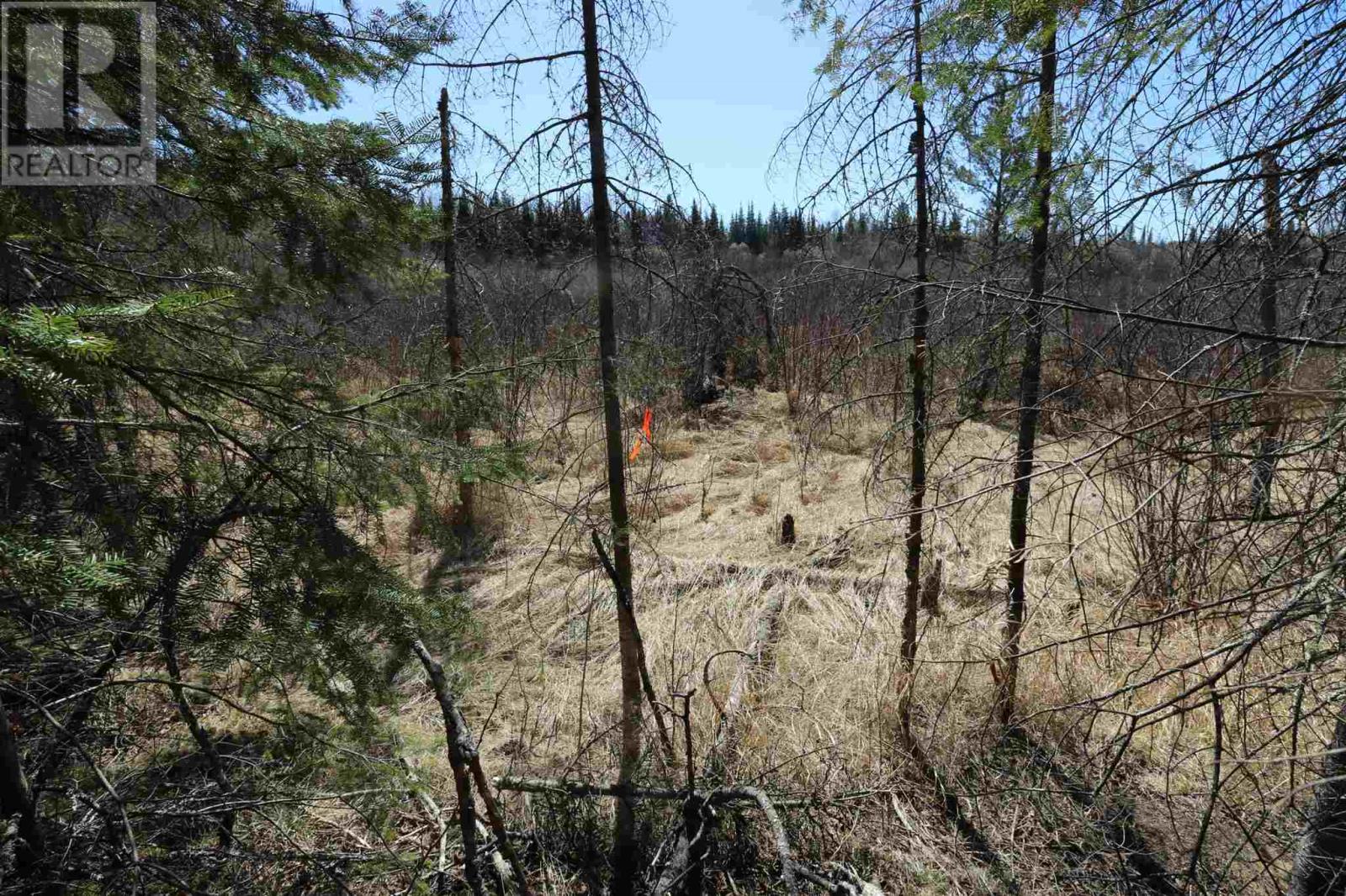 Lot 151 Plan M222, Minaki, Ontario P0X 1J0 - Photo 16 - TB250064