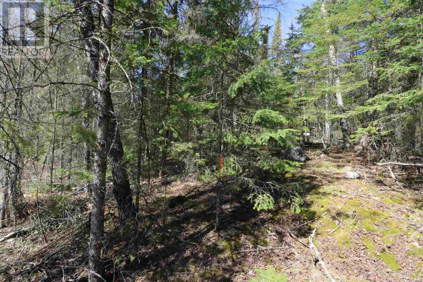 Lot 151 Plan M222, Minaki, Ontario P0X 1J0 - Photo 17 - TB250064