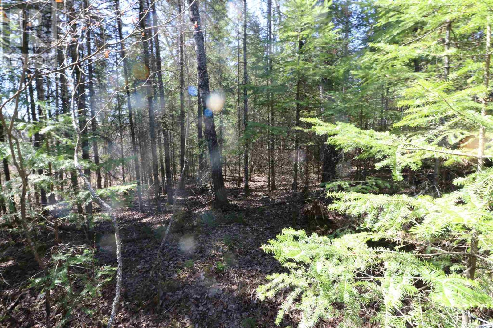 Lot 151 Plan M222, Minaki, Ontario P0X 1J0 - Photo 12 - TB250064