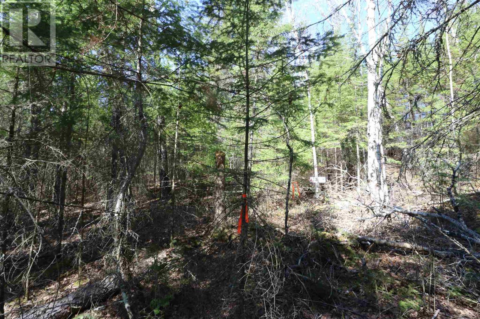 Lot 151 Plan M222, Minaki, Ontario P0X 1J0 - Photo 13 - TB250064