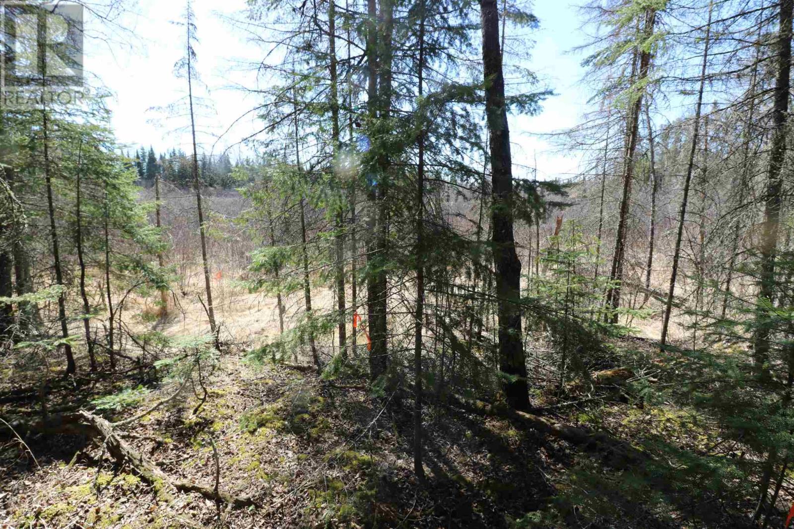 Lot 151 Plan M222, Minaki, Ontario P0X 1J0 - Photo 14 - TB250064