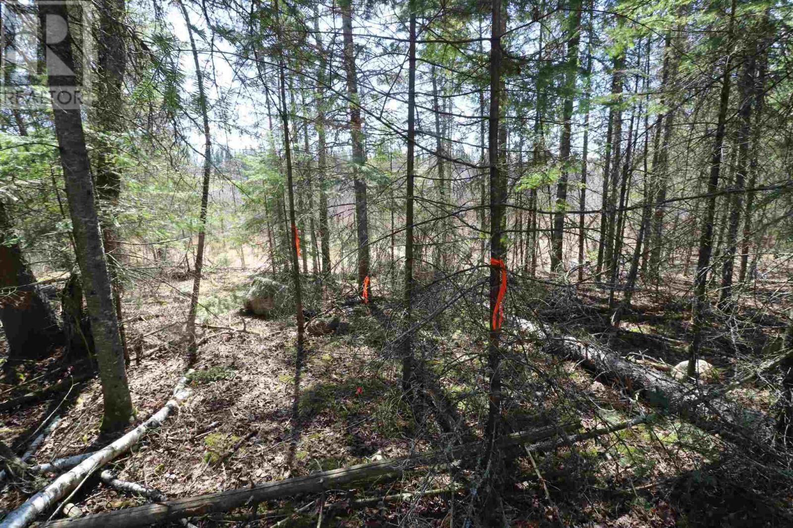 Lot 151 Plan M222, Minaki, Ontario P0X 1J0 - Photo 11 - TB250064