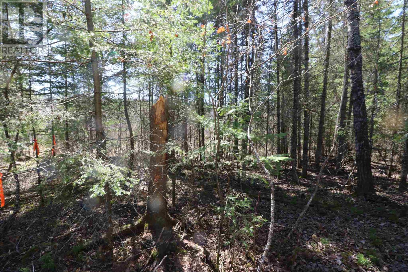 Lot 151 Plan M222, Minaki, Ontario P0X 1J0 - Photo 9 - TB250064