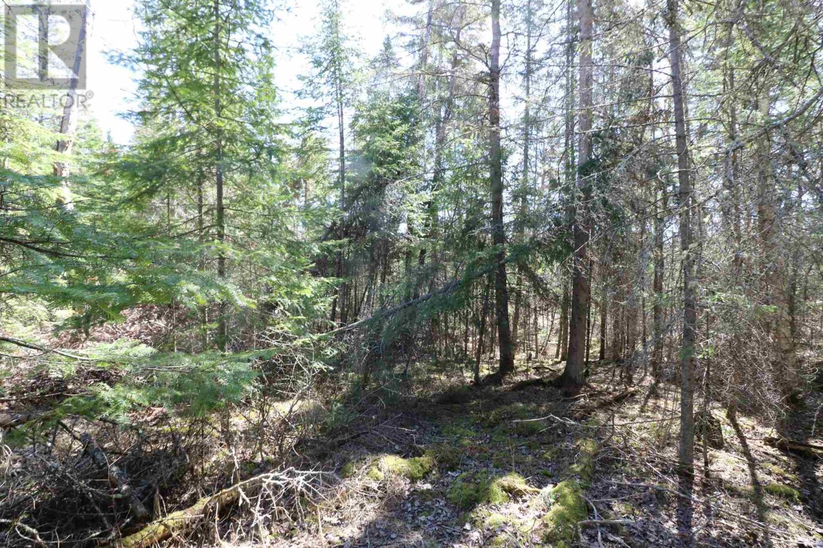 Lot 151 Plan M222, Minaki, Ontario P0X 1J0 - Photo 8 - TB250064