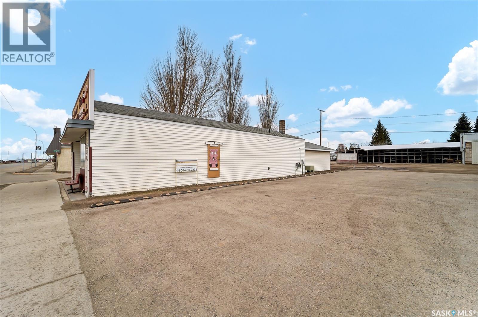 113 Railway Avenue W, Watson, Saskatchewan  S0K 4V0 - Photo 4 - SK029548