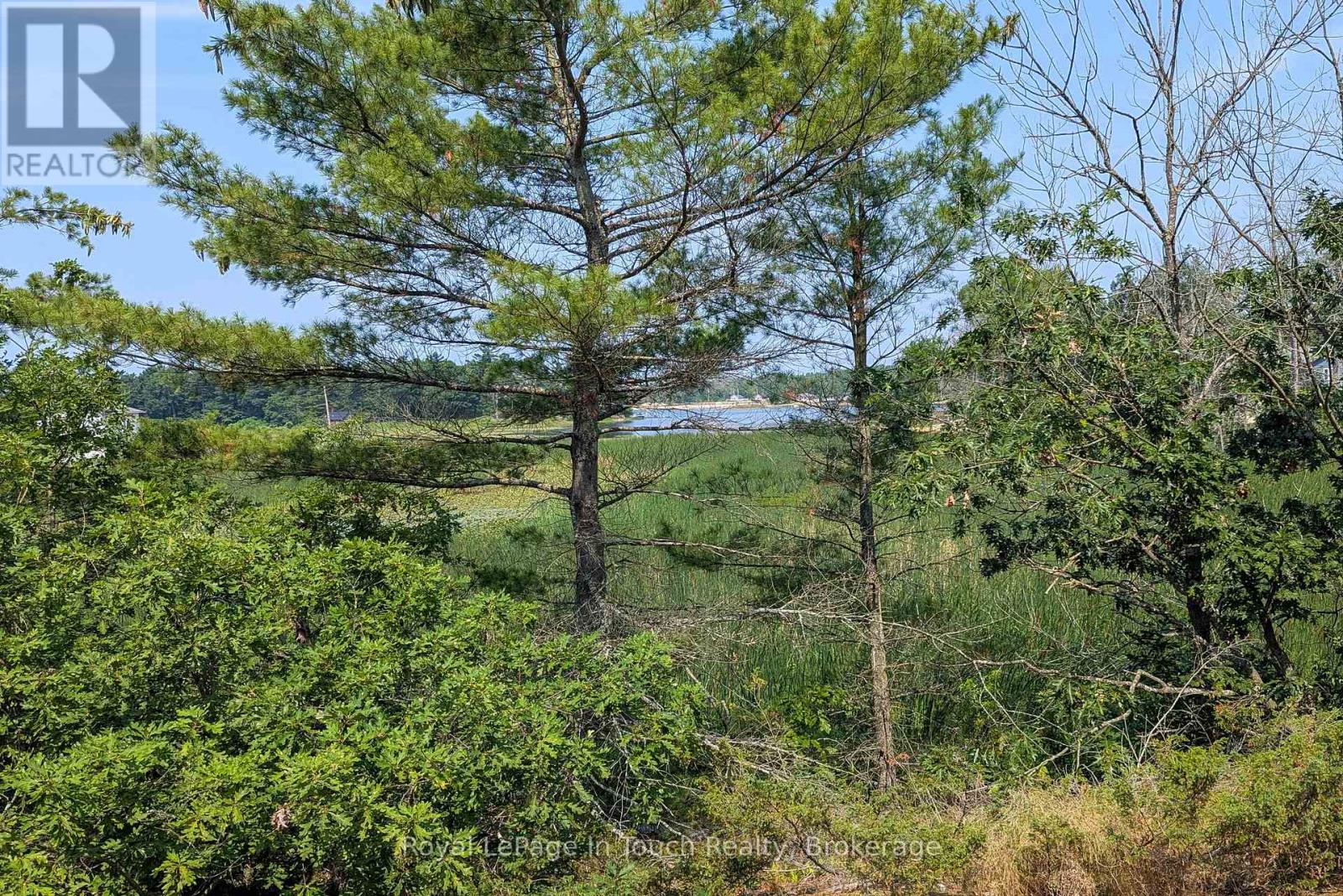 180 Prisque Road, Georgian Bay, Ontario  P0E 1E0 - Photo 10 - X12838772