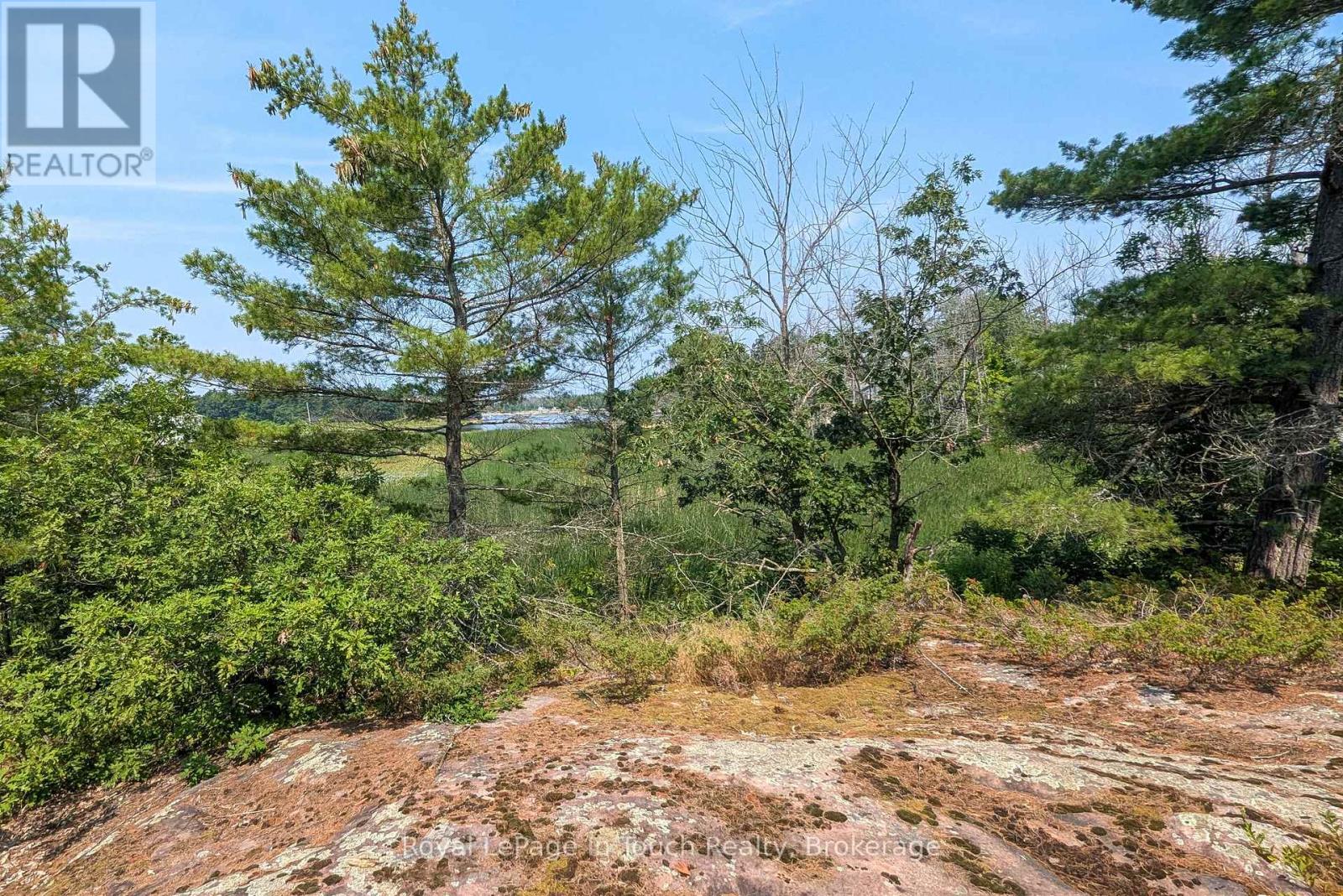 180 Prisque Road, Georgian Bay, Ontario  P0E 1E0 - Photo 11 - X12838772