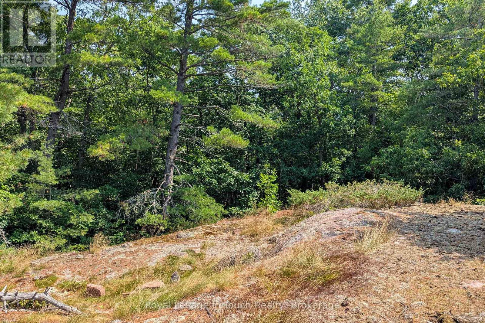 180 Prisque Road, Georgian Bay, Ontario  P0E 1E0 - Photo 9 - X12838772