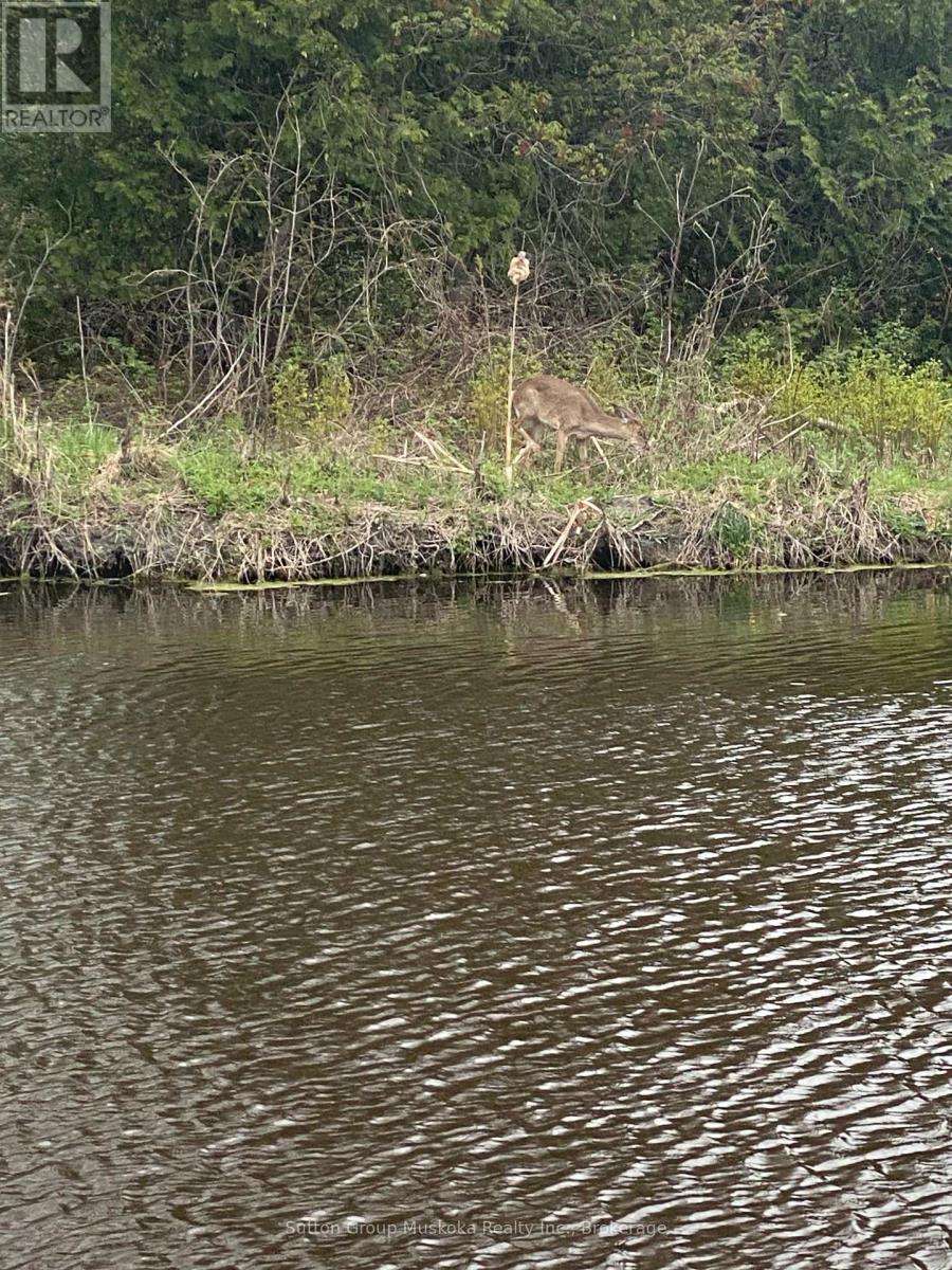 4 - 81 Laguna Parkway, Ramara, Ontario  L0K 1B0 - Photo 29 - S12838874