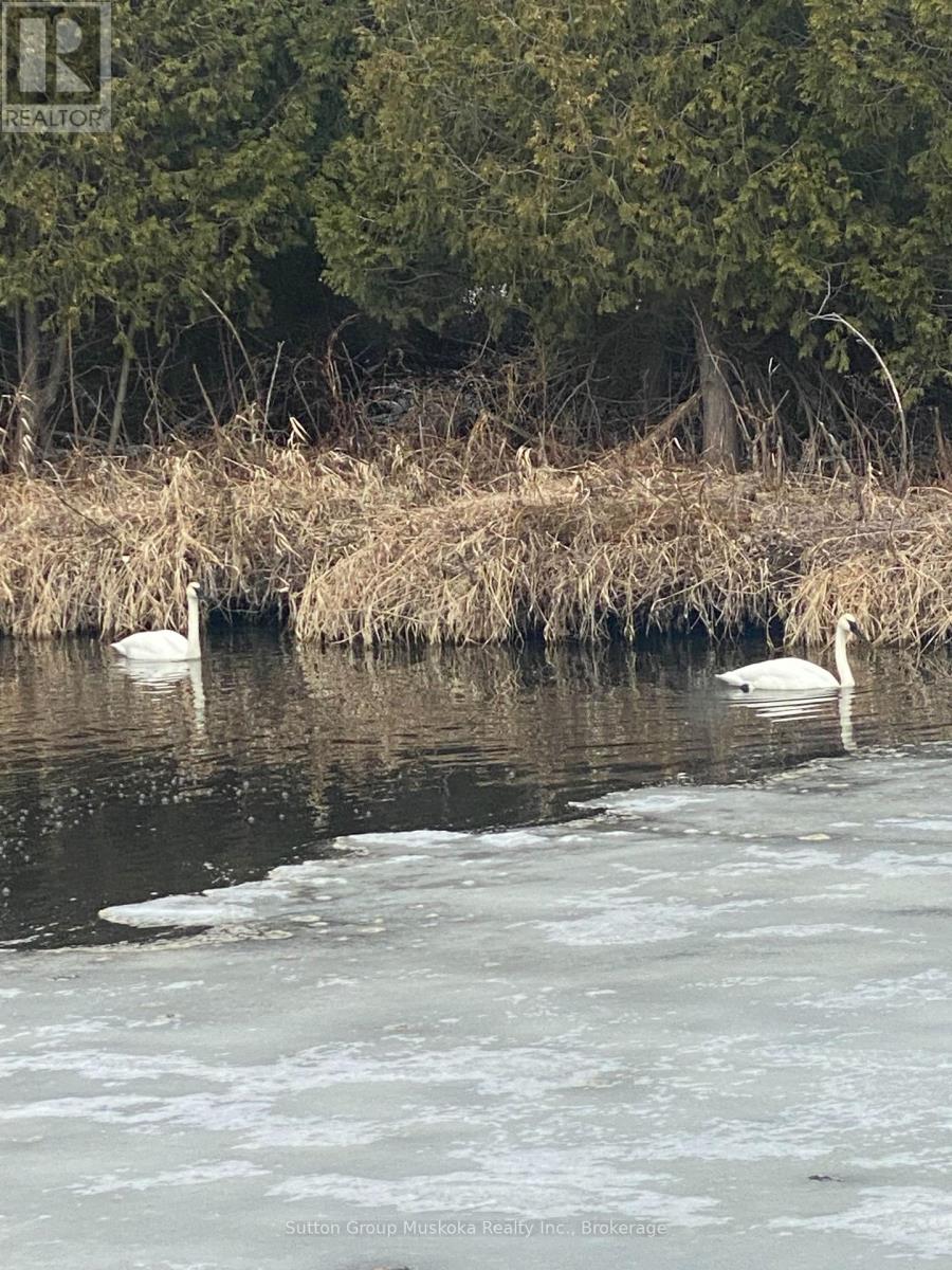 4 - 81 Laguna Parkway, Ramara, Ontario  L0K 1B0 - Photo 28 - S12838874