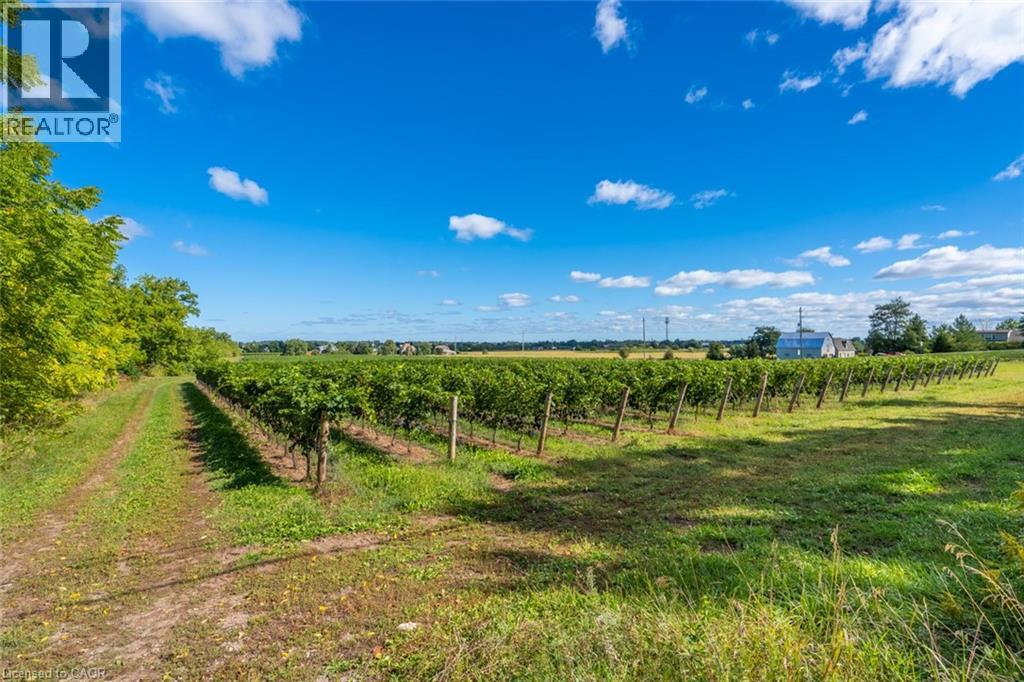 3811 King Street, Beamsville, Ontario  L0R 1B1 - Photo 20 - 40808027
