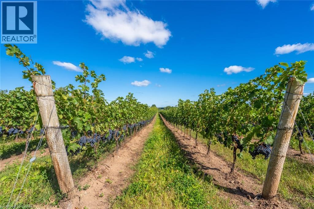 3811 King Street, Beamsville, Ontario  L0R 1B1 - Photo 22 - 40808027