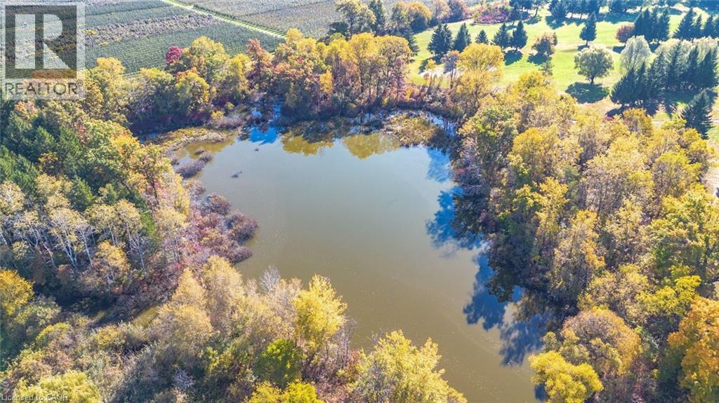 139 St. Michaels Street, Delhi, Ontario  N4B 0A3 - Photo 48 - 40808879