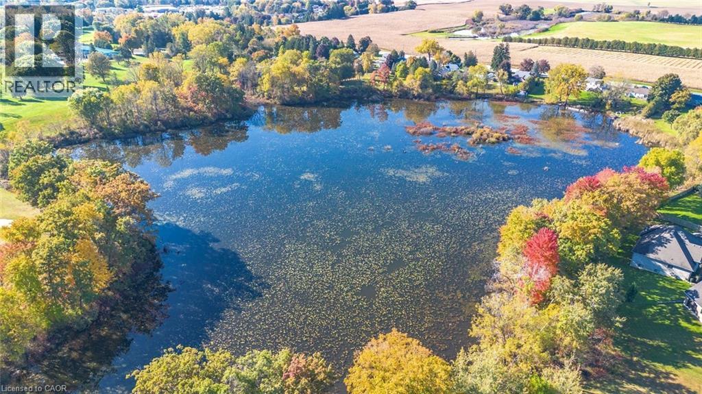 139 St. Michaels Street, Delhi, Ontario  N4B 0A3 - Photo 50 - 40808879