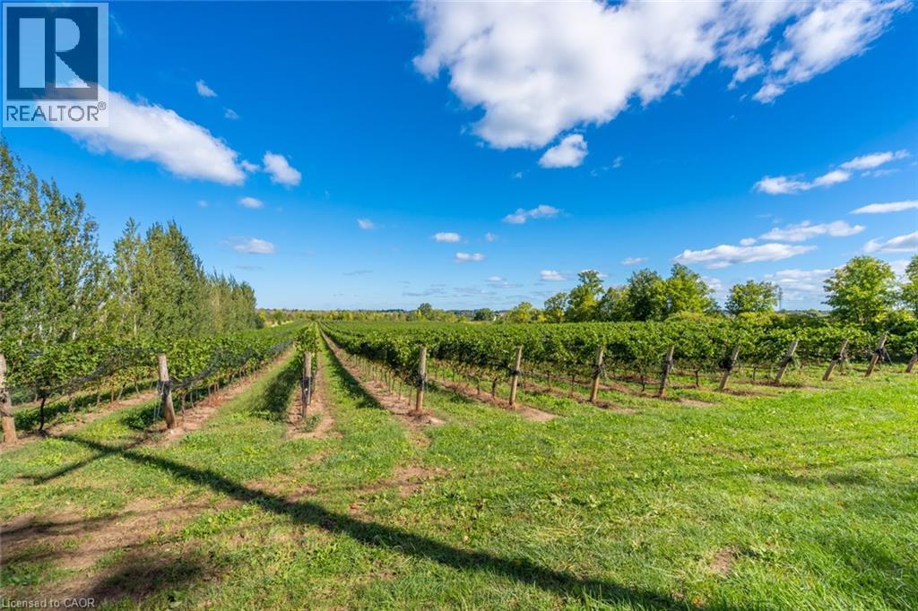 3811 King Street, Beamsville, Ontario  L0R 1B1 - Photo 18 - 40808010