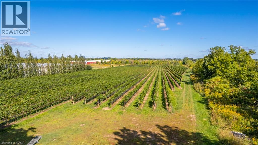 3811 King Street, Beamsville, Ontario  L0R 1B1 - Photo 21 - 40808010