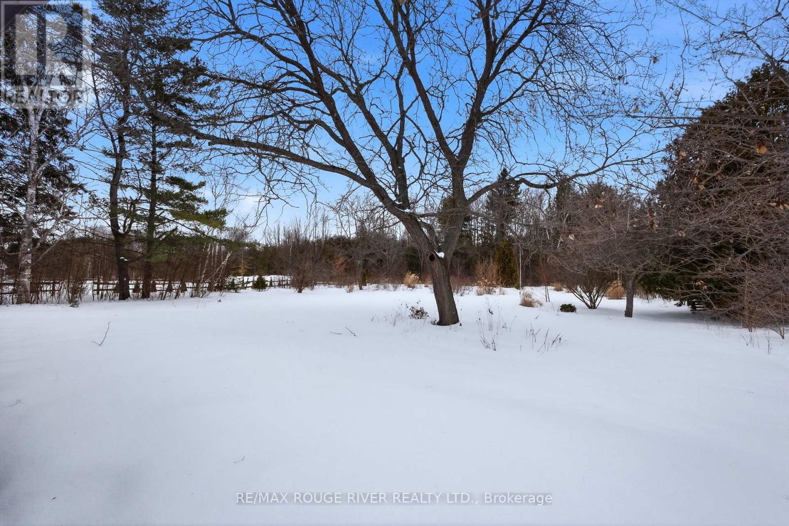 1020 Elgin Street E, Cobourg, Ontario  K9A 0S1 - Photo 31 - X12839060