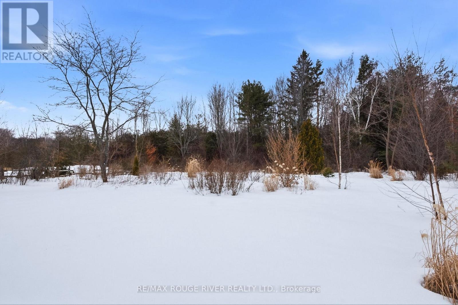 1020 Elgin Street E, Cobourg, Ontario  K9A 0S1 - Photo 33 - X12839060