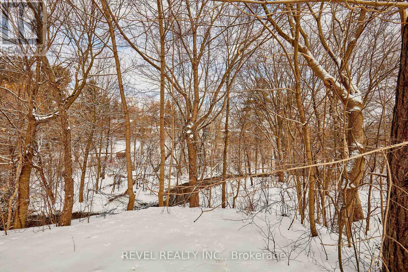 124 Forest Heights Boulevard, Toronto, Ontario  M2L 2K8 - Photo 5 - C12836894