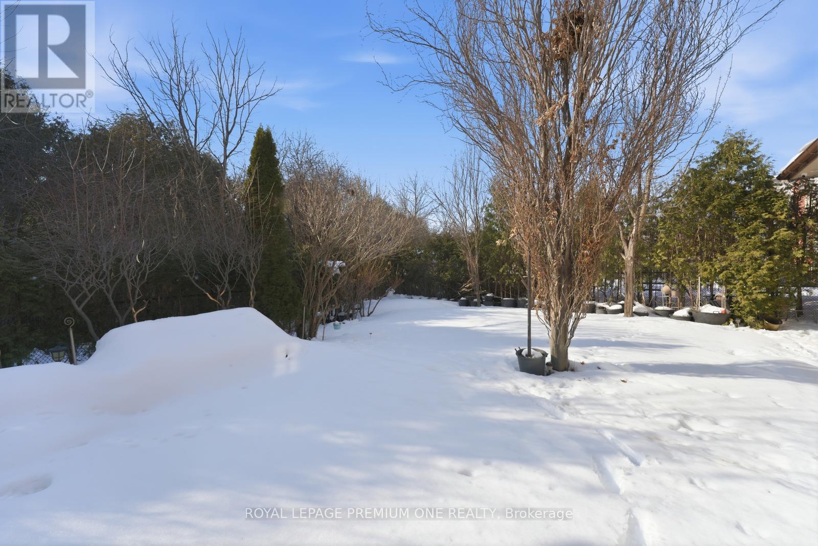 155 Cook's Mill Crescent, Vaughan, Ontario  L6A 0L1 - Photo 47 - N12839002