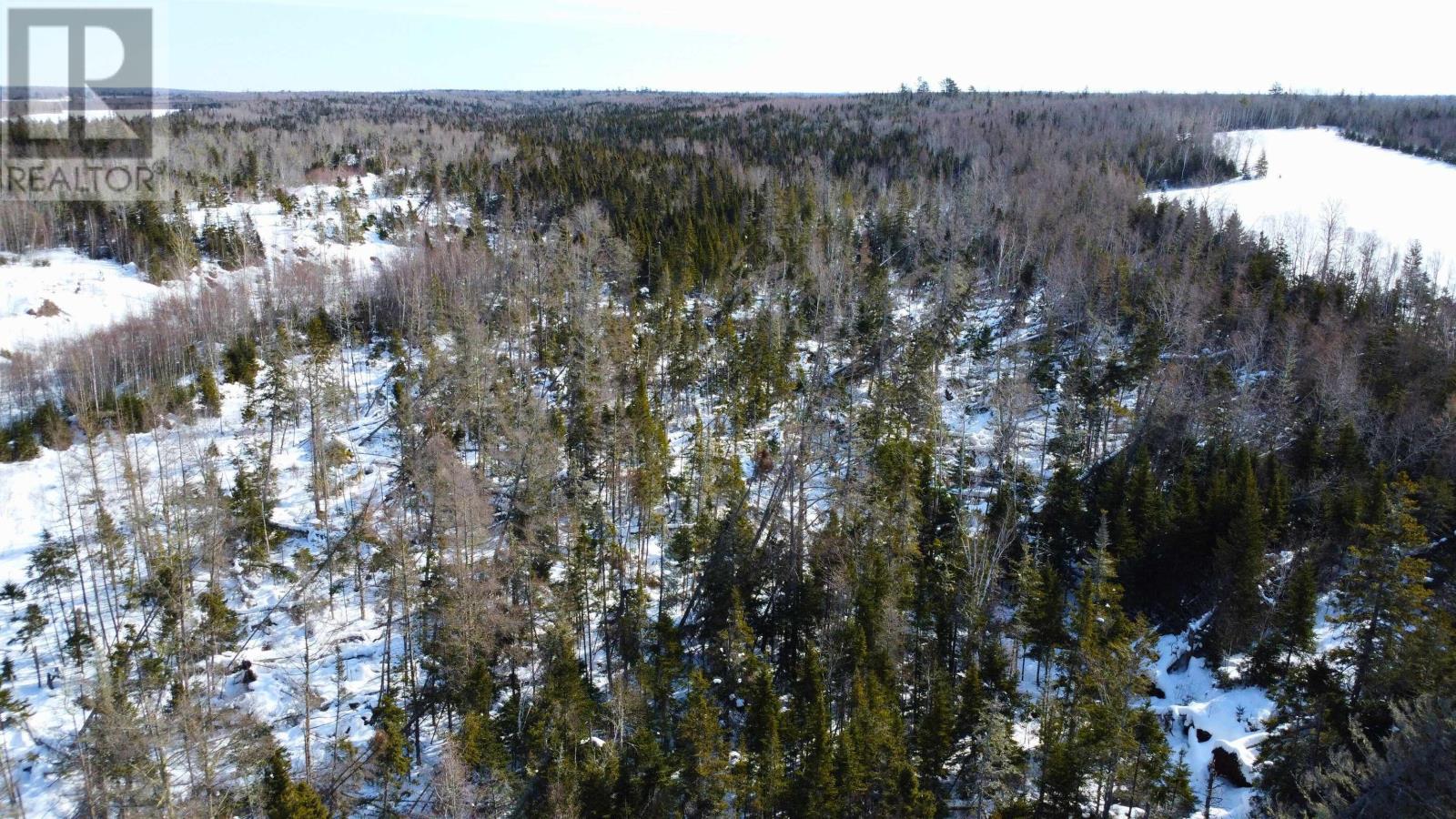 70 Acres County Line Road, Iris, Prince Edward Island  C0A 1B0 - Photo 6 - 202603147