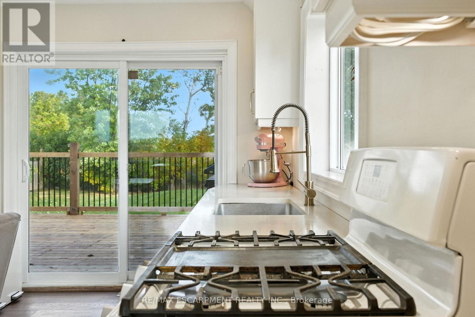 293 Regional Rd 20, Hamilton, Ontario  L8J 3H4 - Photo 11 - X12839142