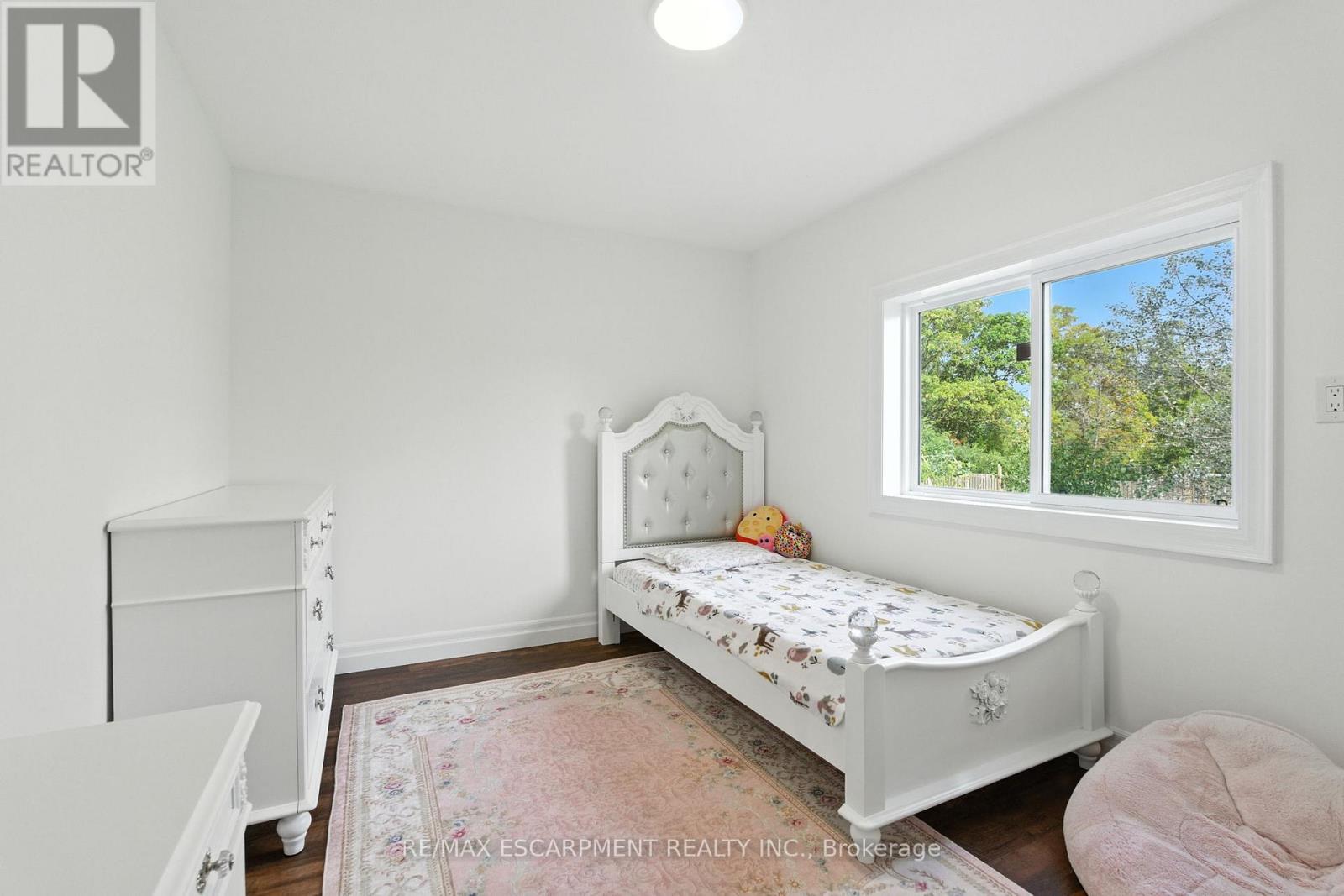 293 Regional Rd 20, Hamilton, Ontario  L8J 3H4 - Photo 20 - X12839142