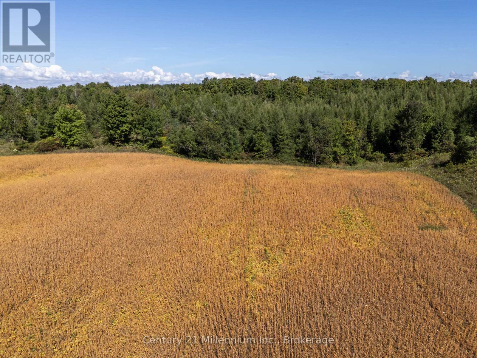 315421 Highway 6 Highway, Chatsworth, Ontario  N0H 2V0 - Photo 14 - X12839216