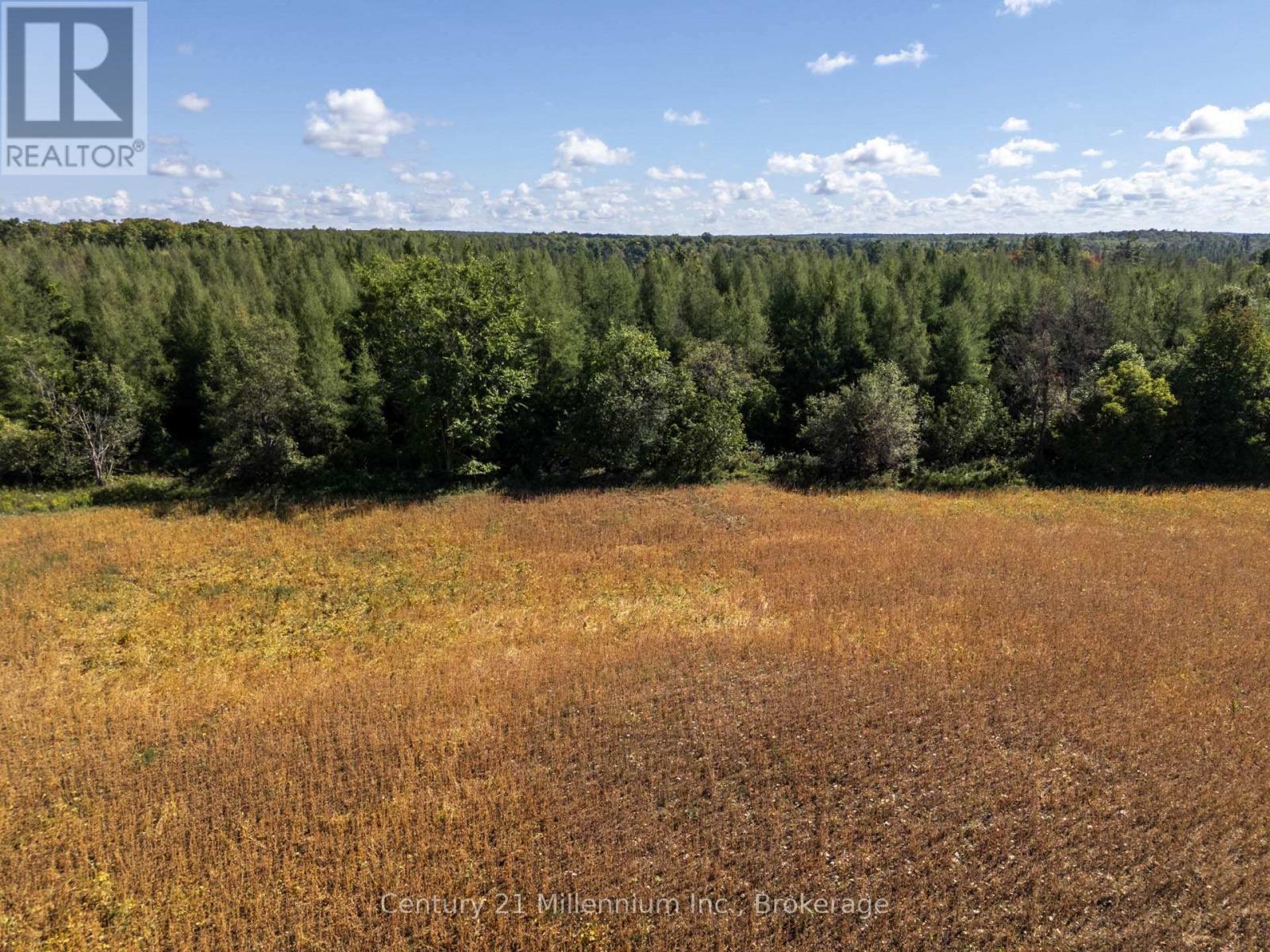 315421 Highway 6 Highway, Chatsworth, Ontario  N0H 2V0 - Photo 15 - X12839216