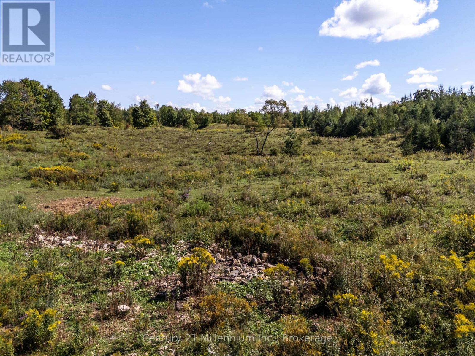 315421 Highway 6 Highway, Chatsworth, Ontario  N0H 2V0 - Photo 21 - X12839216