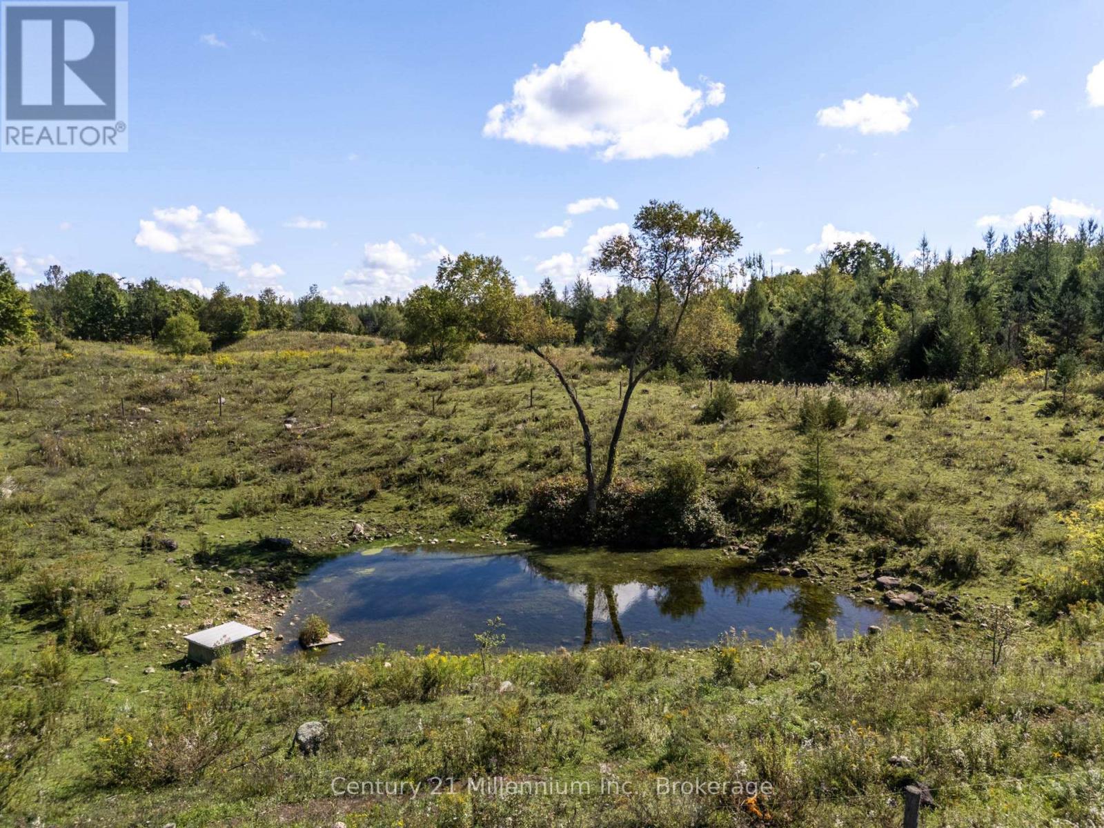 315421 Highway 6 Highway, Chatsworth, Ontario  N0H 2V0 - Photo 22 - X12839216