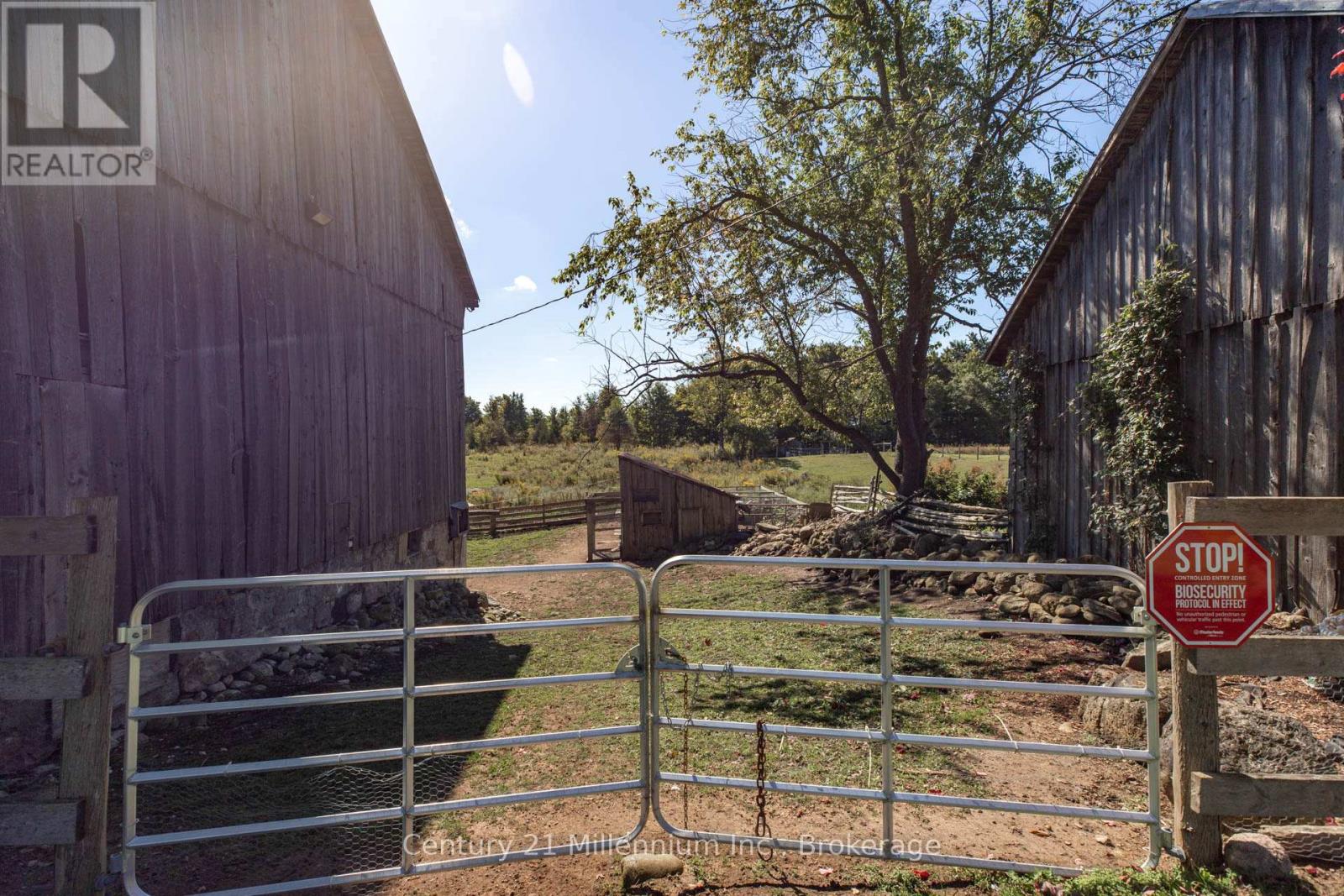 315421 Highway 6 Highway, Chatsworth, Ontario  N0H 2V0 - Photo 7 - X12839216