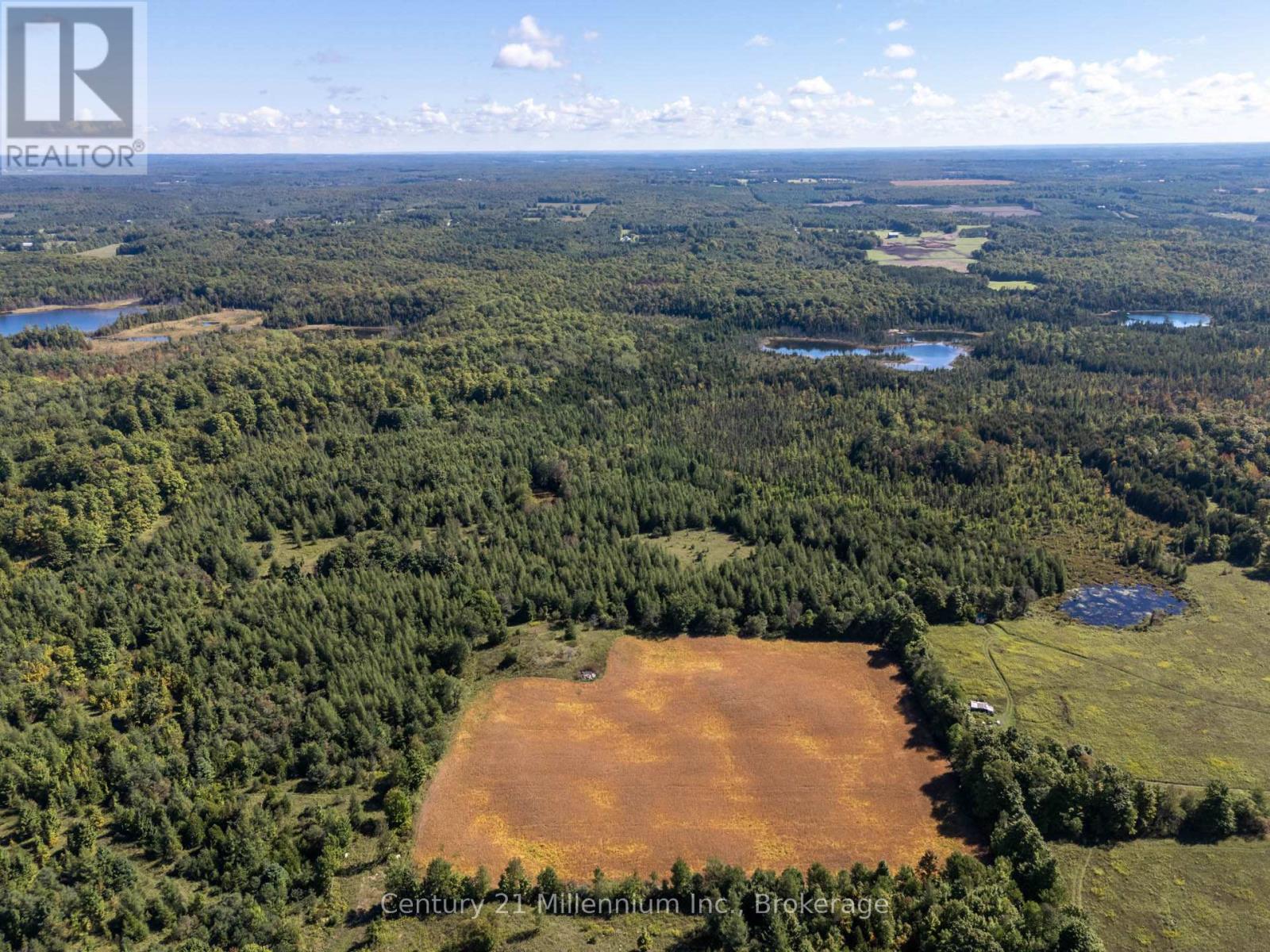 315421 Highway 6 Highway, Chatsworth, Ontario  N0H 2V0 - Photo 8 - X12839216