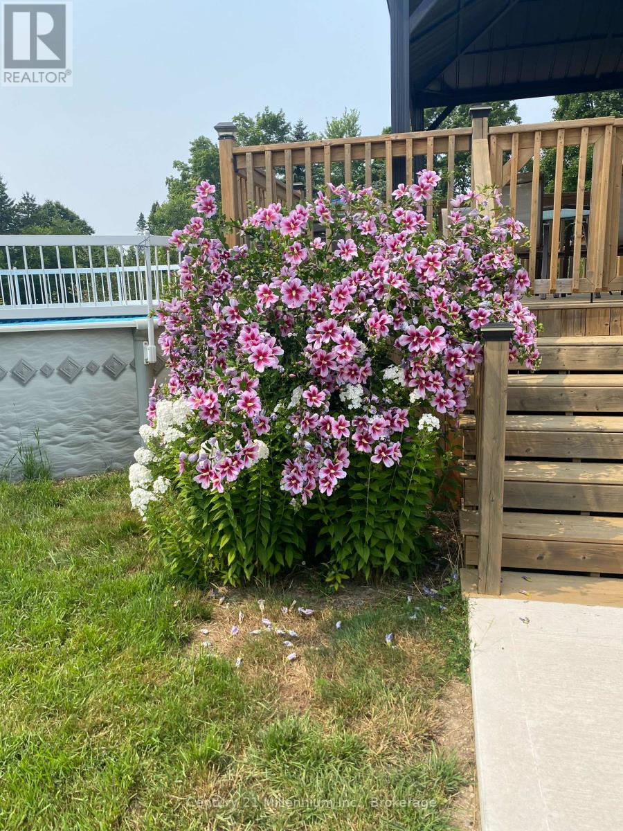 38 Mill Street, Kincardine, Ontario  N0G 2T0 - Photo 44 - X12839334