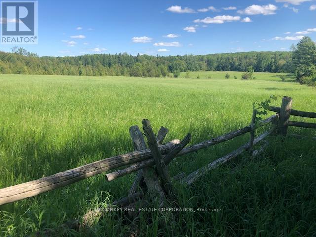 251 Concession Rd 13 E, Trent Hills, Ontario  K0L 1Y0 - Photo 13 - X12839258