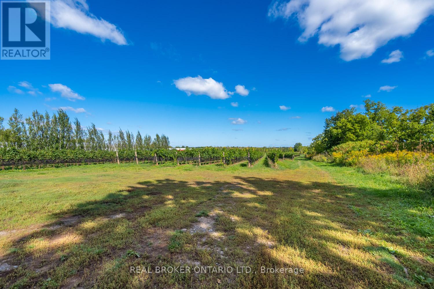 3811 King Street, Lincoln (Beamsville), Ontario  L0R 1B1 - Photo 15 - X12839286