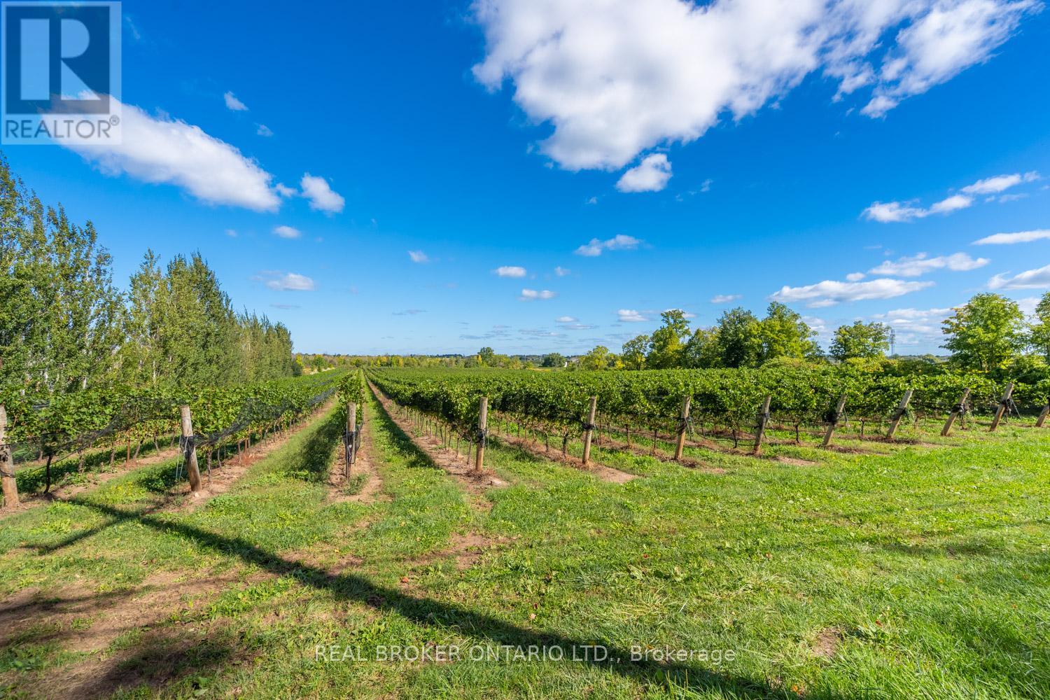 3811 King Street, Lincoln (Beamsville), Ontario  L0R 1B1 - Photo 17 - X12839286