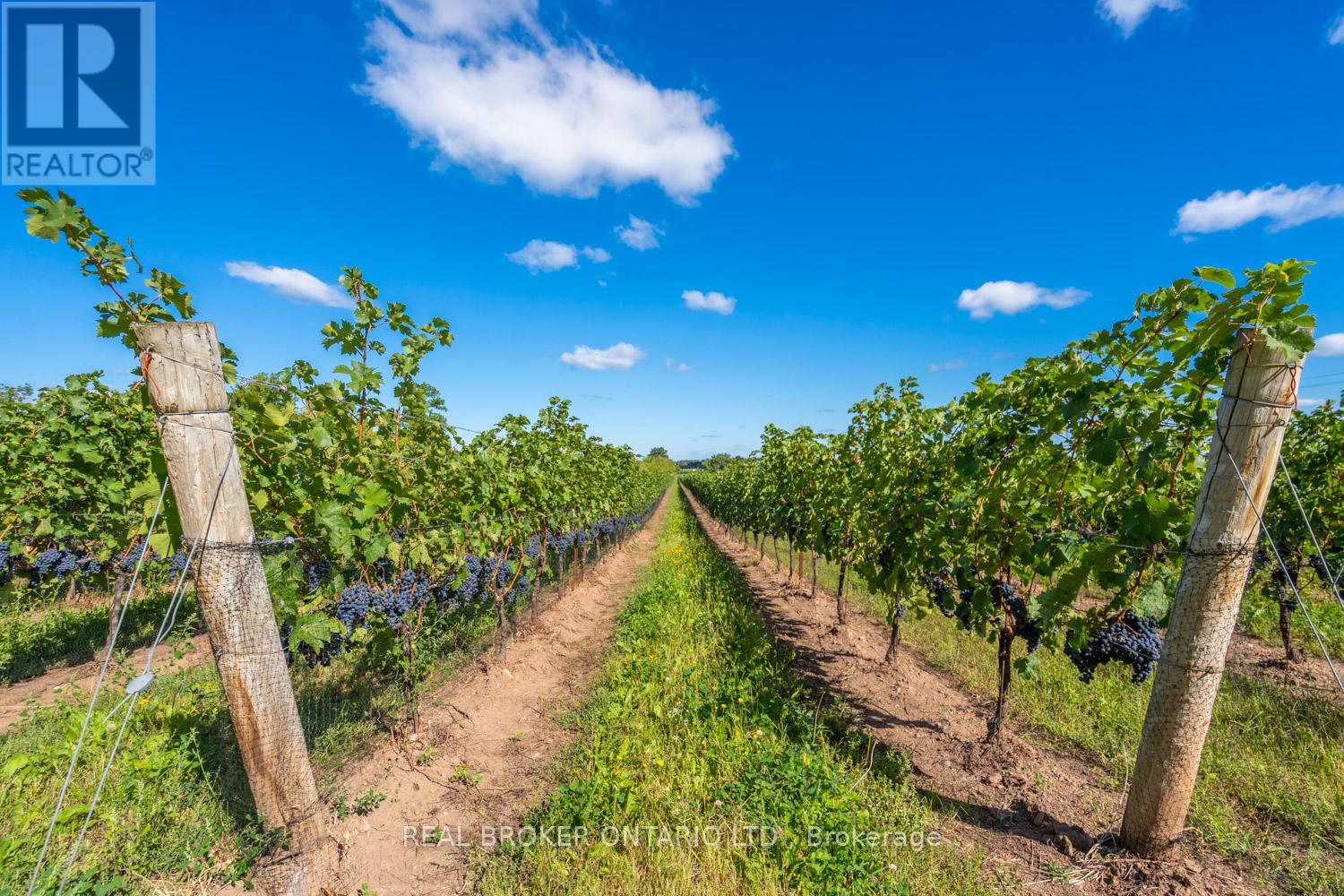 3811 King Street, Lincoln (Beamsville), Ontario  L0R 1B1 - Photo 20 - X12839286