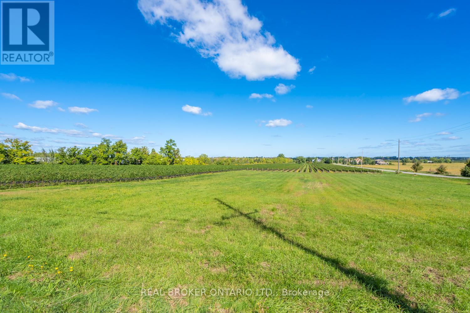 3811 King Street, Lincoln (Beamsville), Ontario  L0R 1B1 - Photo 21 - X12839286