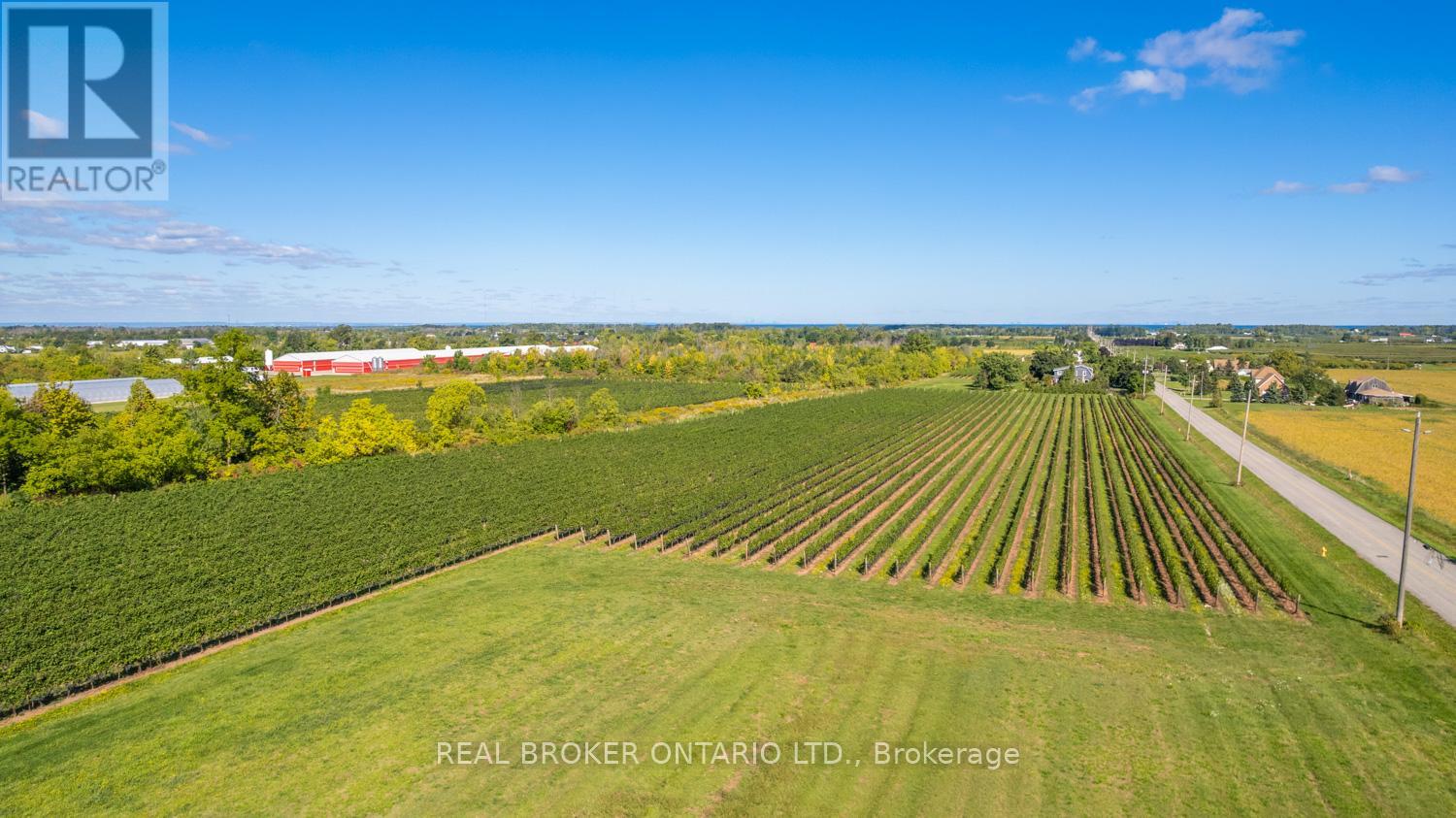 3811 King Street, Lincoln (Beamsville), Ontario  L0R 1B1 - Photo 6 - X12839286