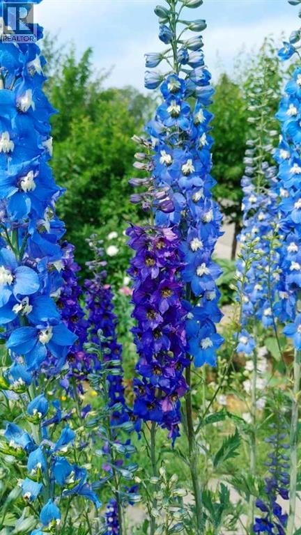 623 75 Avenue Sw, Calgary, Alberta  T2V 0S4 - Photo 40 - A2283337