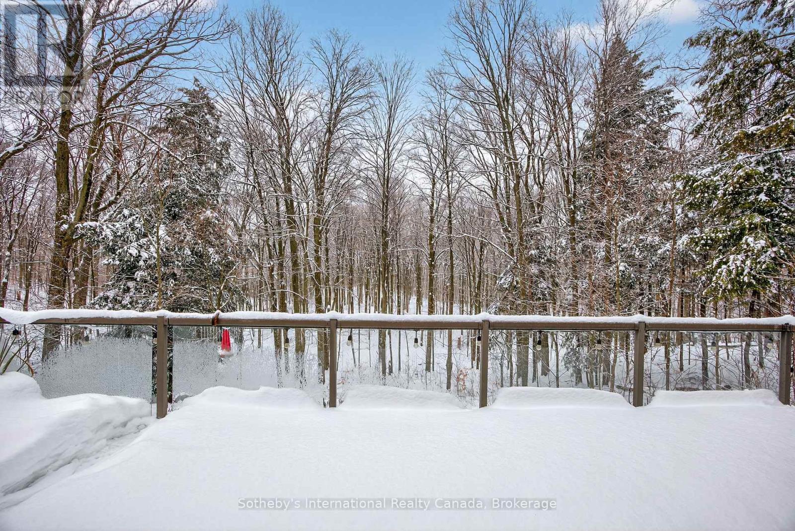 28 Big Tree Circle, Mulmur, Ontario  L9V 3M3 - Photo 36 - X12682602